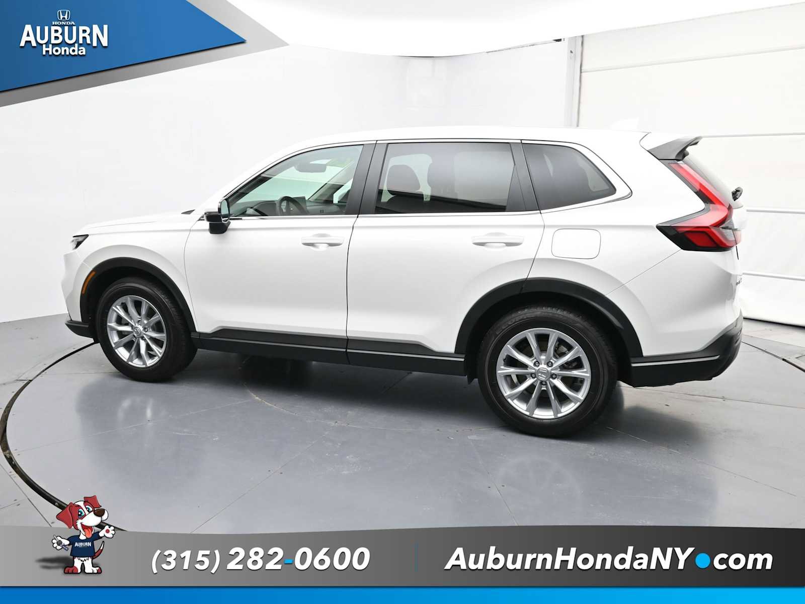 Used 2025 Honda CR-V EX-L image 11