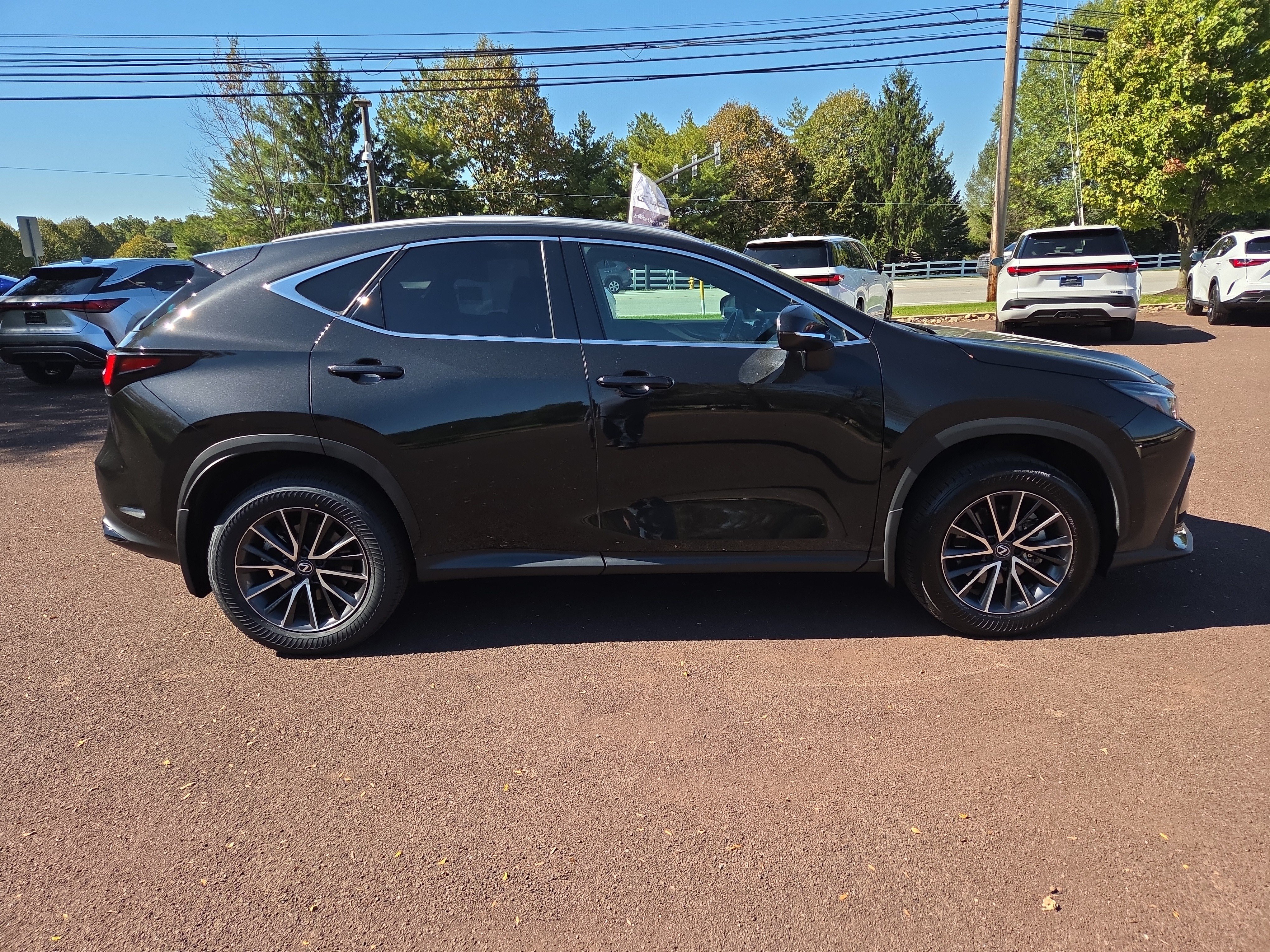Certified 2024 Lexus NX 250 FWD image 2