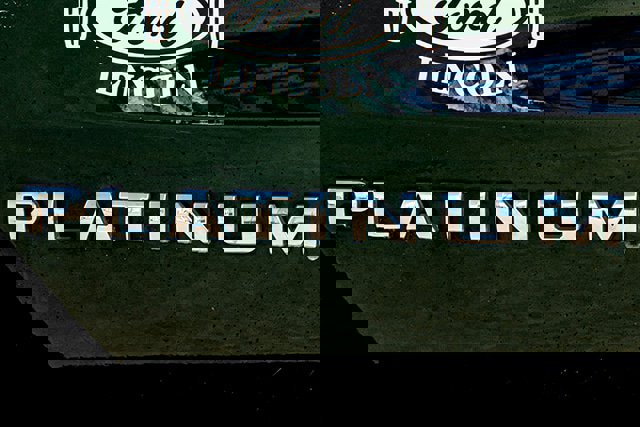 Used 2024 Ford Expedition Platinum image 21