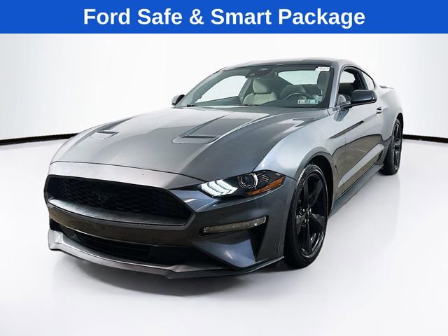 Certified 2023 Ford Mustang EcoBoost w/ Equipment Group 101A image 4