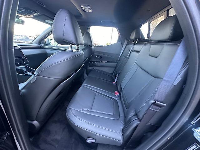 New 2024 Hyundai Santa Cruz Limited image 8