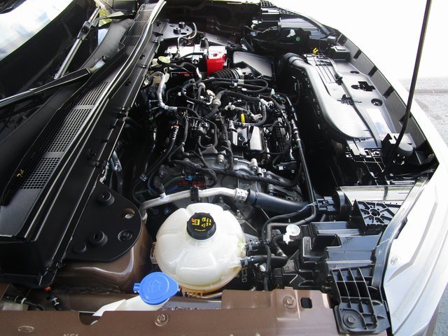 Used 2022 Ford Bronco Sport Big Bend w/ Convenience Package image 10