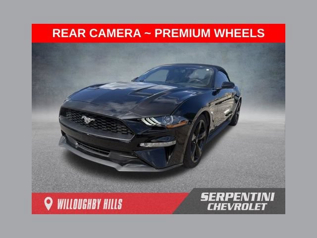 Used 2019 Ford Mustang Premium RWD image 1