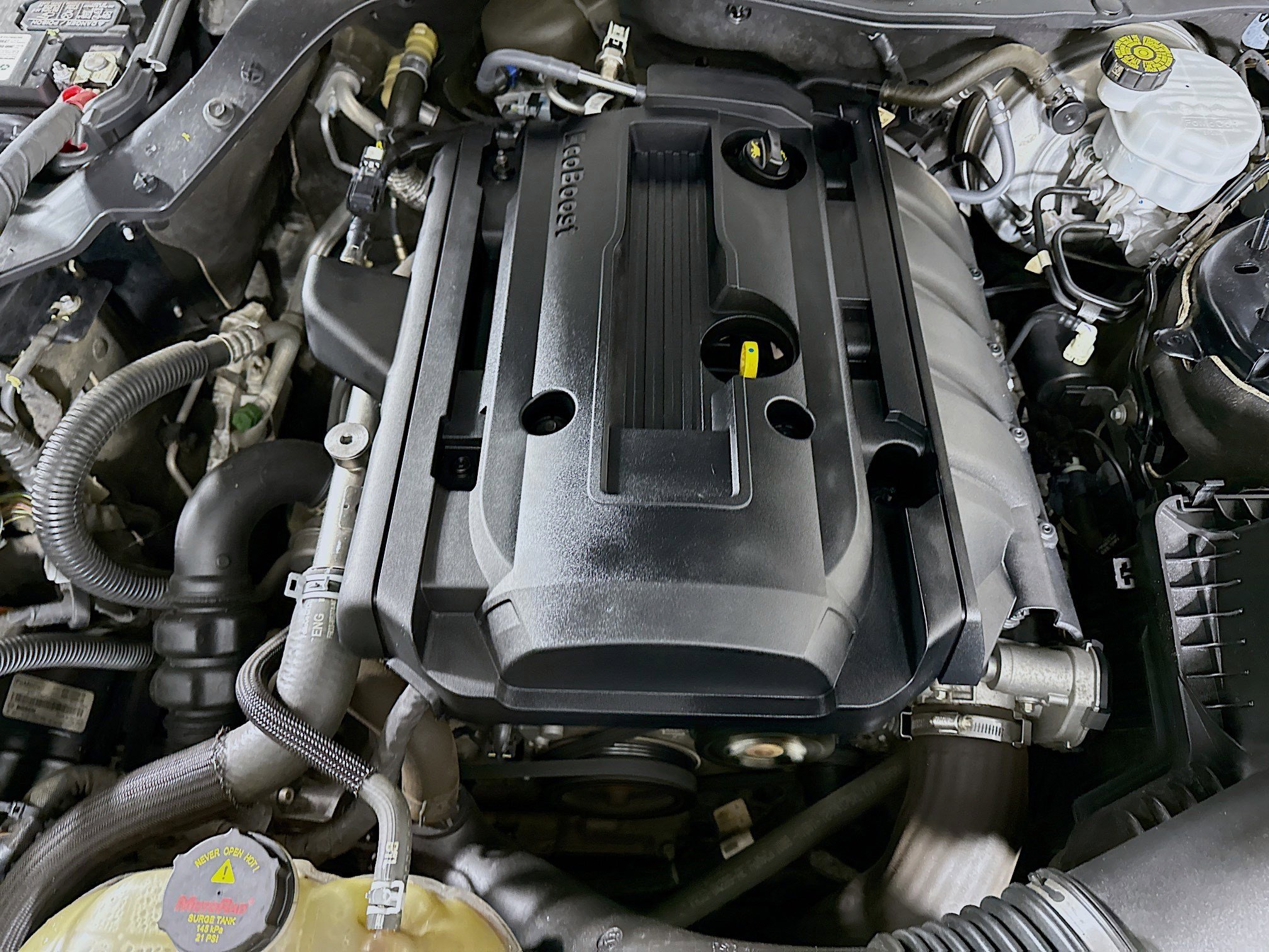 Used 2018 Ford Mustang EcoBoost w/ Equipment Group 101A image 37