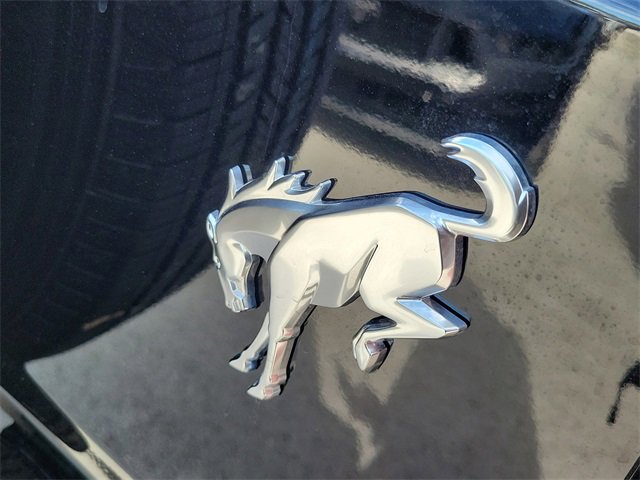 New 2026 Ford Bronco 2-Door image 5