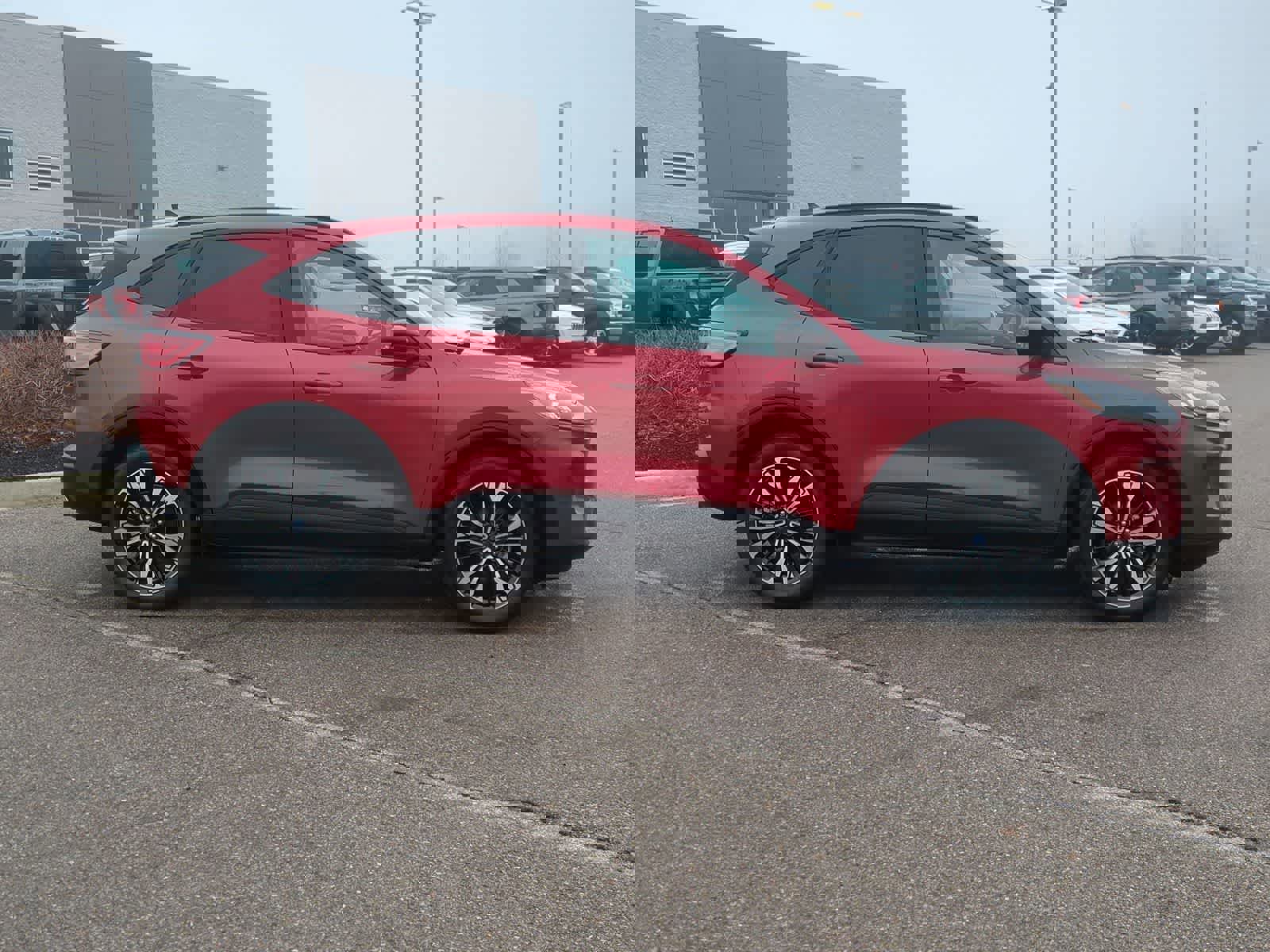 Used 2022 Ford Escape SEL w/ SEL Stealth AWD Package image 9