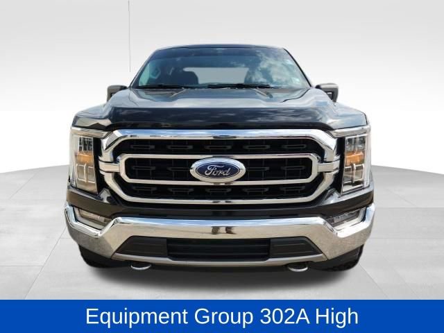 Used 2021 Ford F150 XLT w/ Equipment Group 302A High image 2