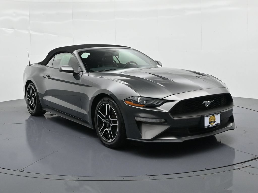 Certified 2019 Ford Mustang Premium RWD image 4