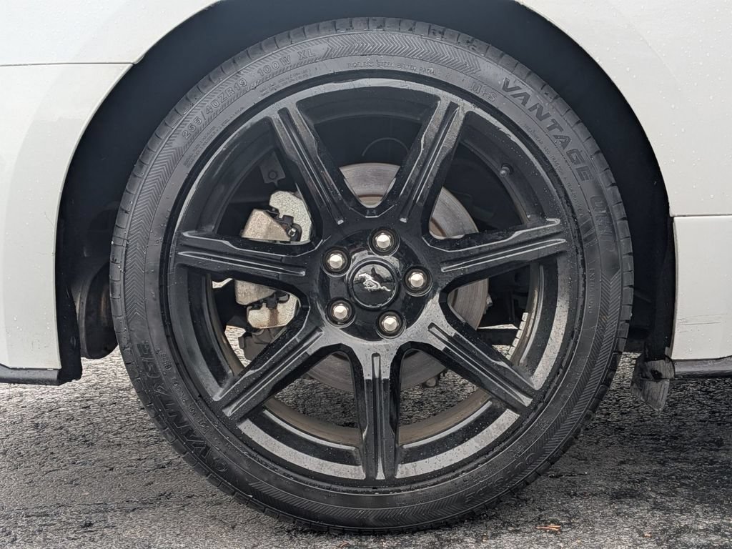 Used 2019 Ford Mustang Premium w/ Equipment Group 201A RWD image 12