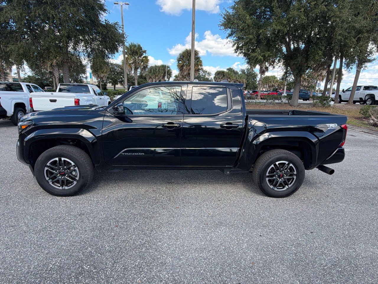 Used 2025 Toyota Tacoma TRD Sport AWD/4WD image 2