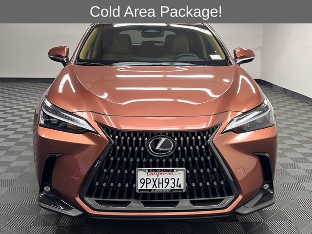 Certified 2025 Lexus NX 350h AWD w/ Cold Area Package image 3