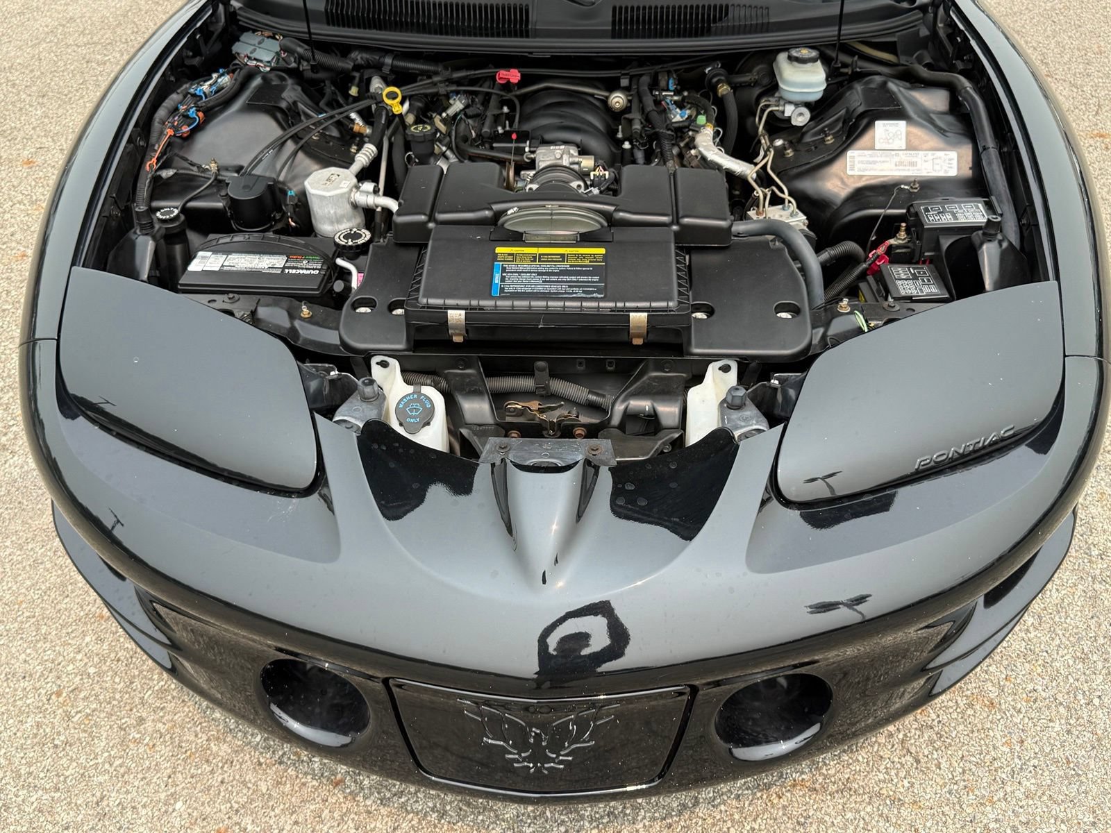 Used 2002 Pontiac Firebird Trans Am RWD image 30