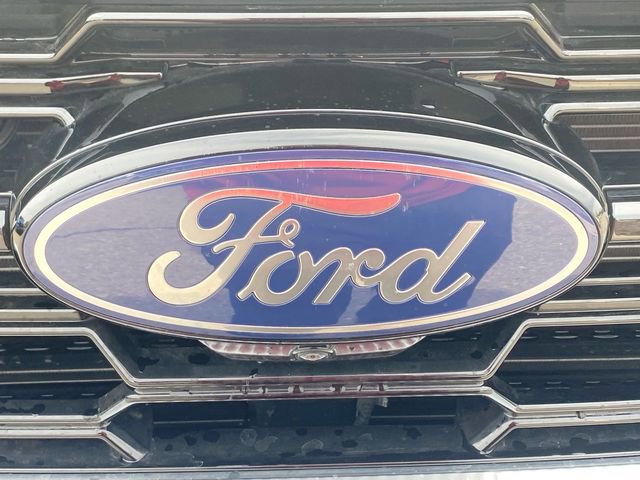 Used 2025 Ford Expedition Platinum image 32