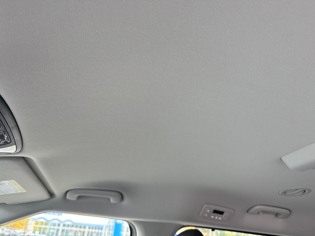 New 2026 Kia Carnival EX image 19