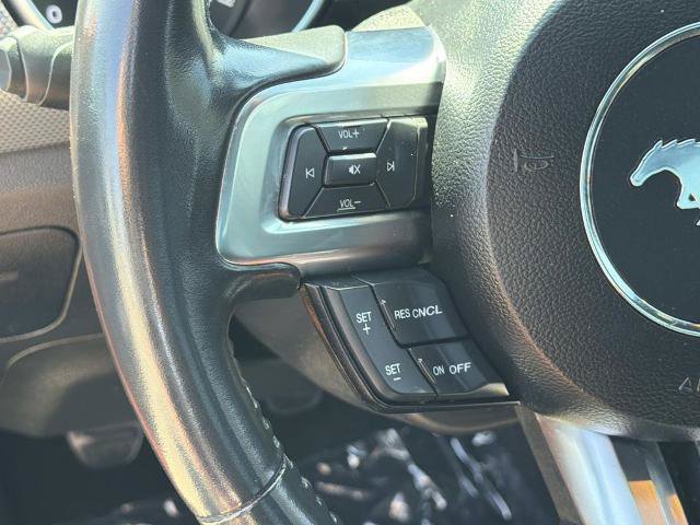 Used 2021 Ford Mustang GT w/ Equipment Group 301A RWD image 15