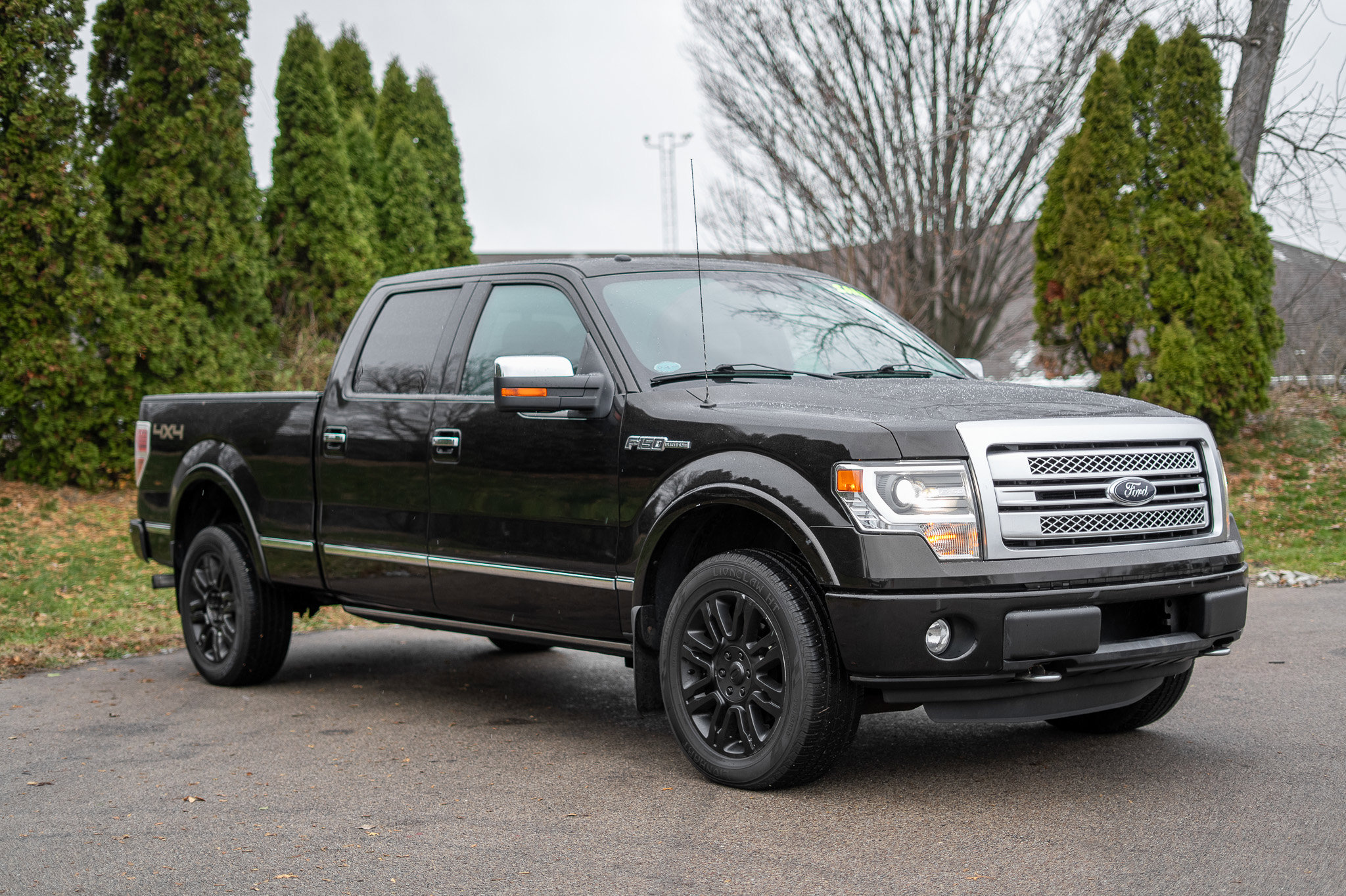 Used 2014 Ford F150 Platinum image 3