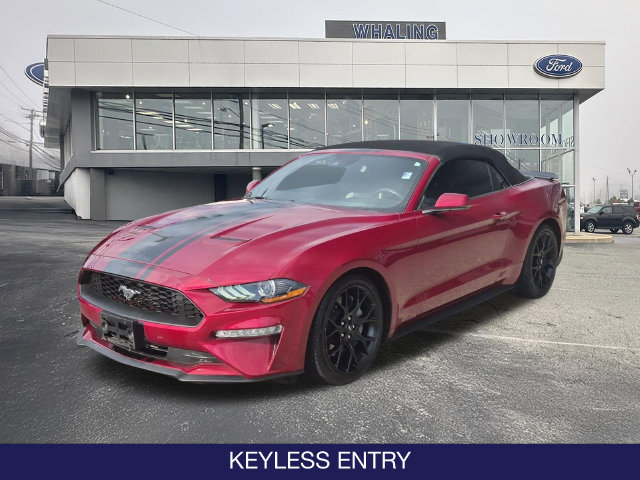 Used 2019 Ford Mustang Premium w/ Ecoboost Performance Package RWD image 3