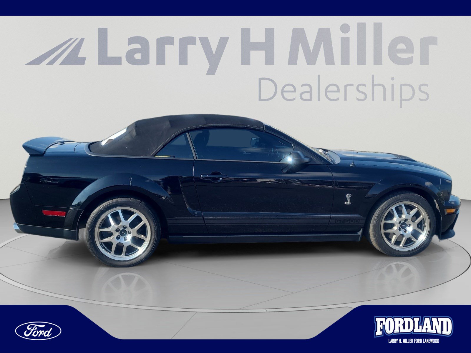 Used 2008 Ford Mustang Shelby GT500 RWD image 6