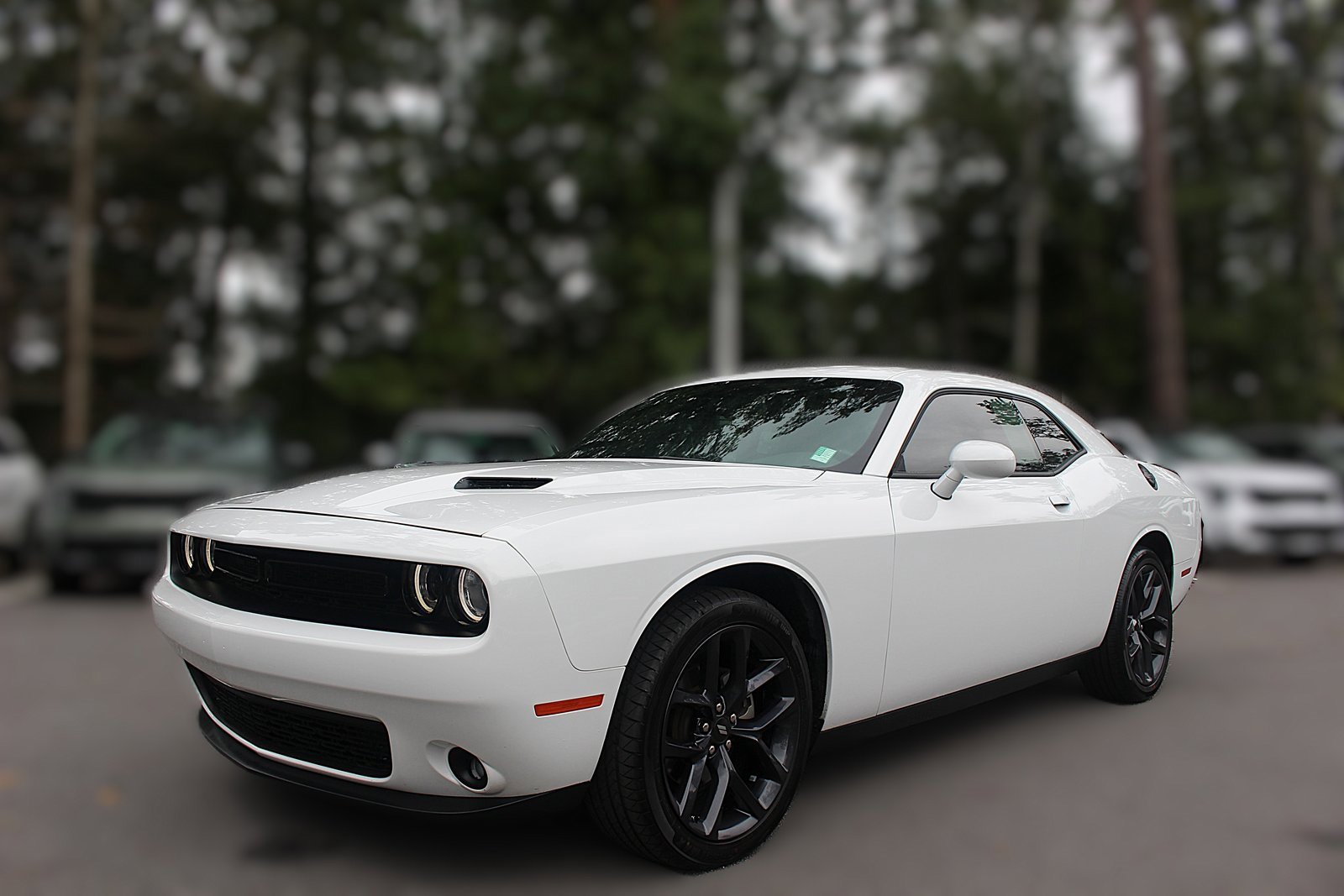Used 2023 Dodge Challenger SXT w/ Blacktop Package