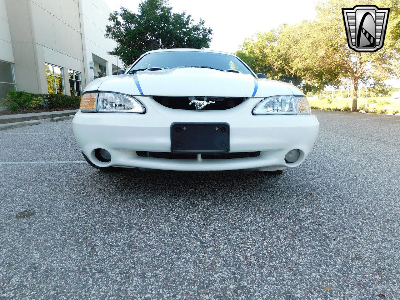 Used 1997 Ford Mustang Cobra image 24