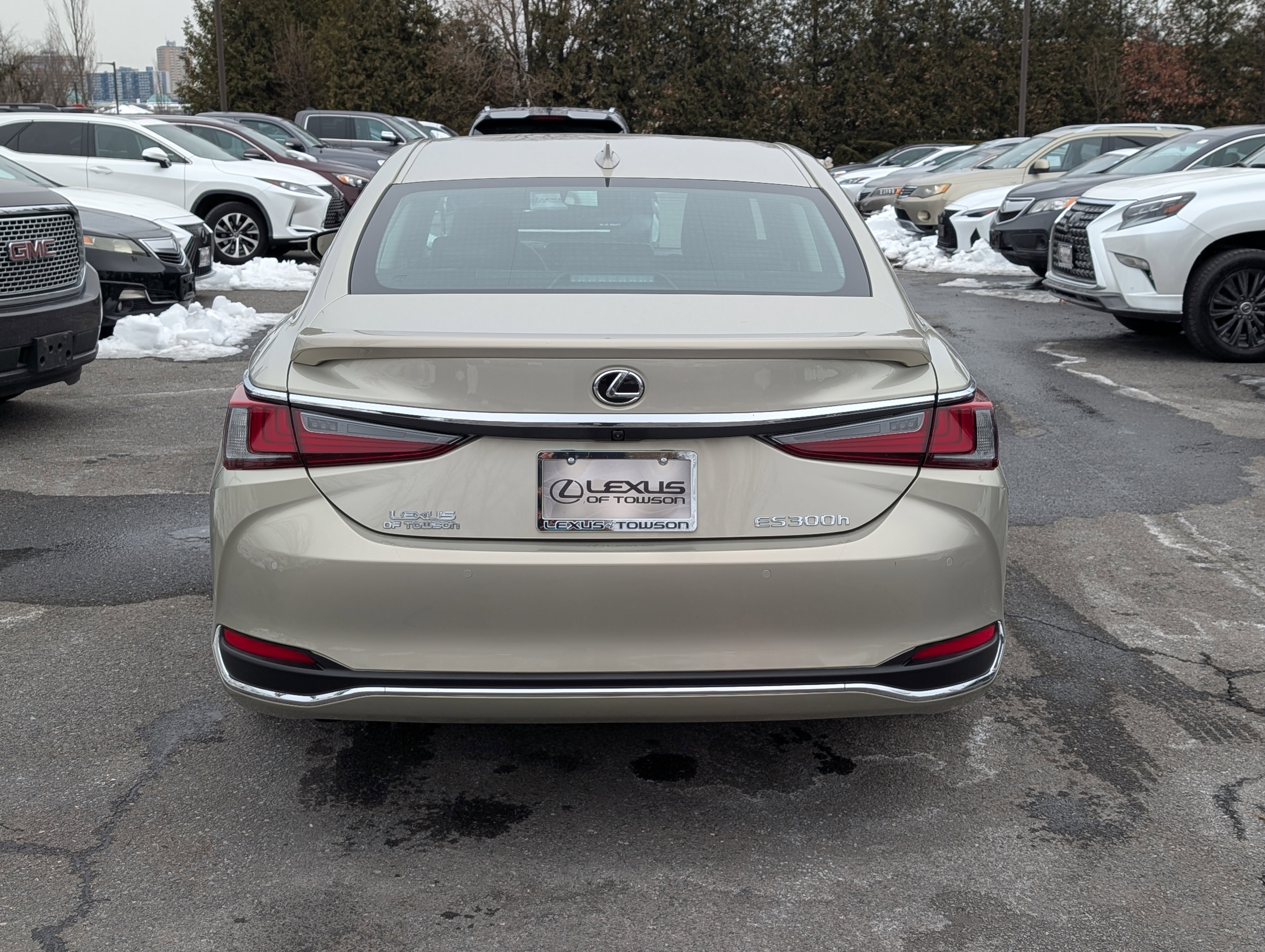 Certified 2025 Lexus ES 300h w/ Premium Package image 4