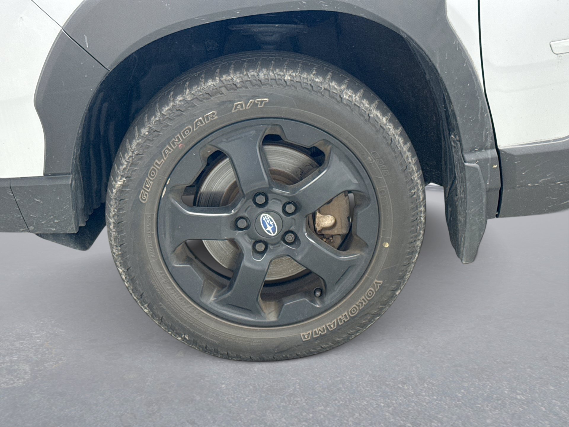 Used 2023 Subaru Forester Wilderness AWD/4WD image 12