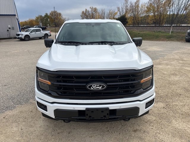 New 2025 Ford F150 XLT w/ Equipment Group 302A MID image 10