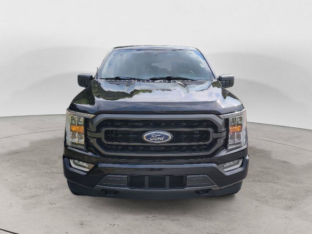 Used 2023 Ford F150 XLT w/ Equipment Group 302A High AWD/4WD image 2