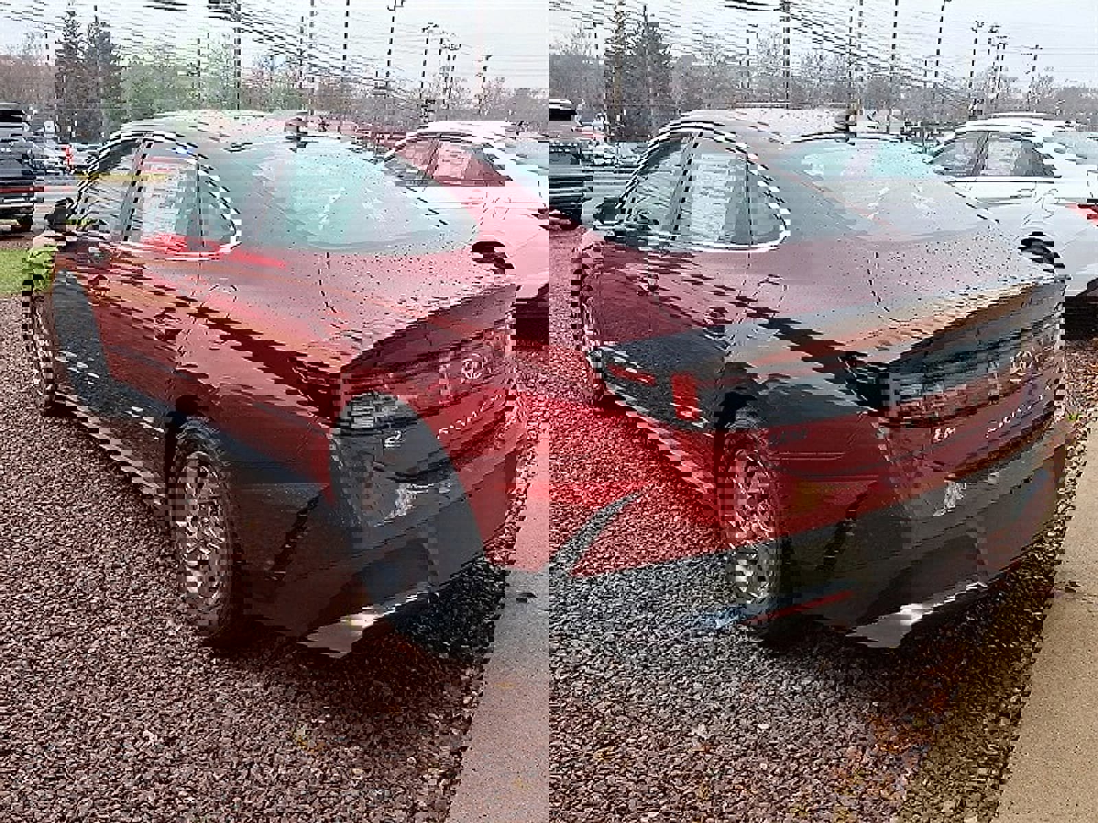 Certified 2025 Hyundai Sonata SE FWD image 7