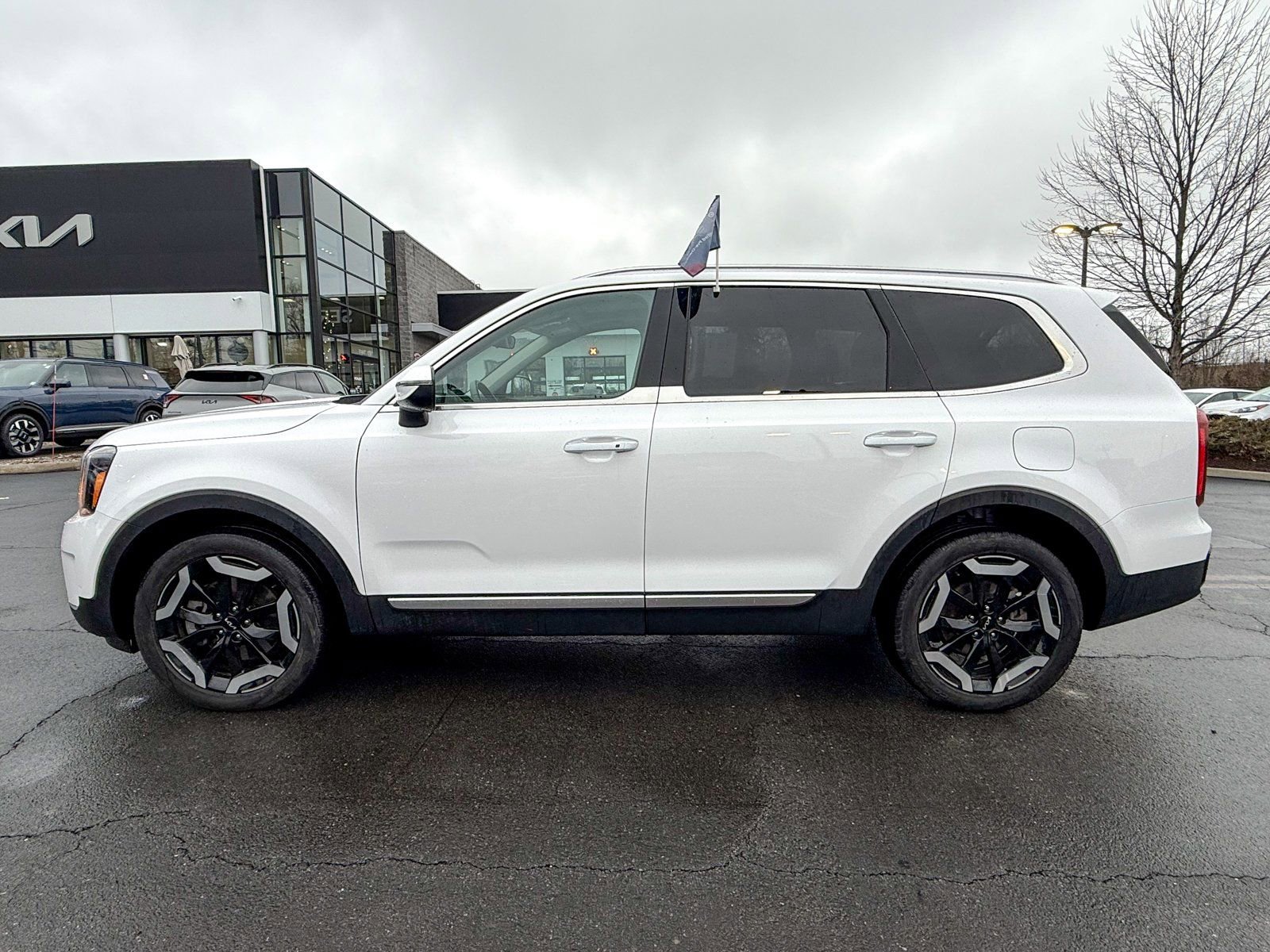 Certified 2024 Kia Telluride S w/ S Sunroof Package image 8