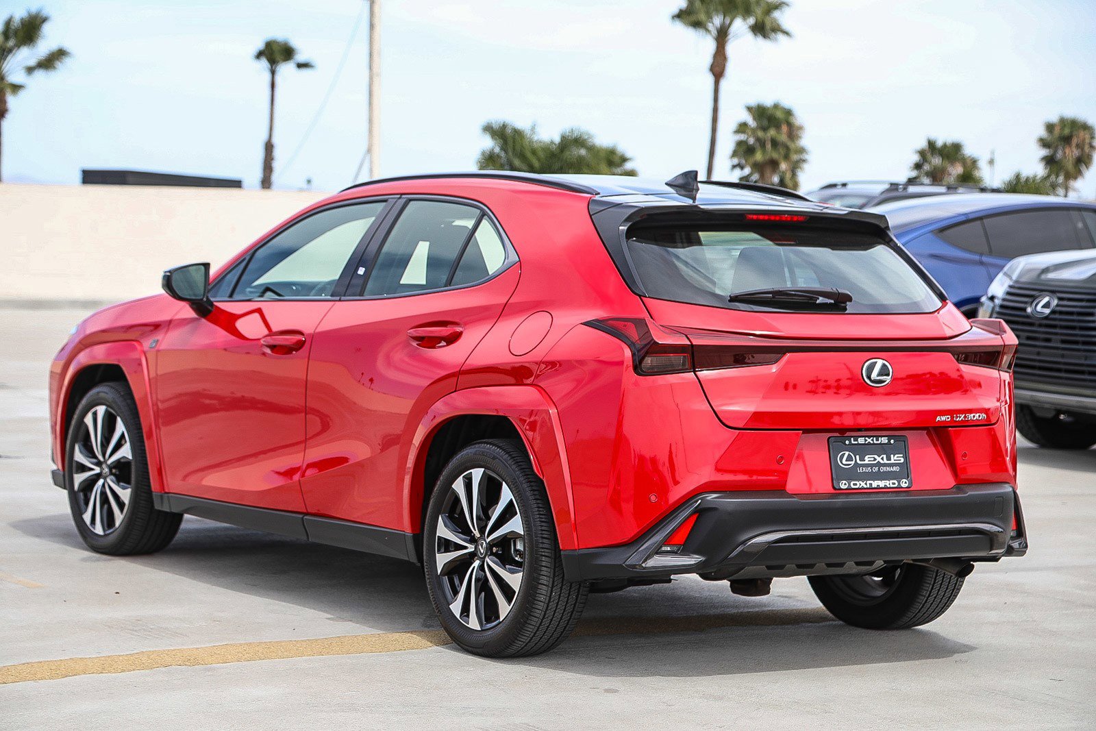 Used 2025 Lexus UX 300h AWD w/ Cold Area Package image 5
