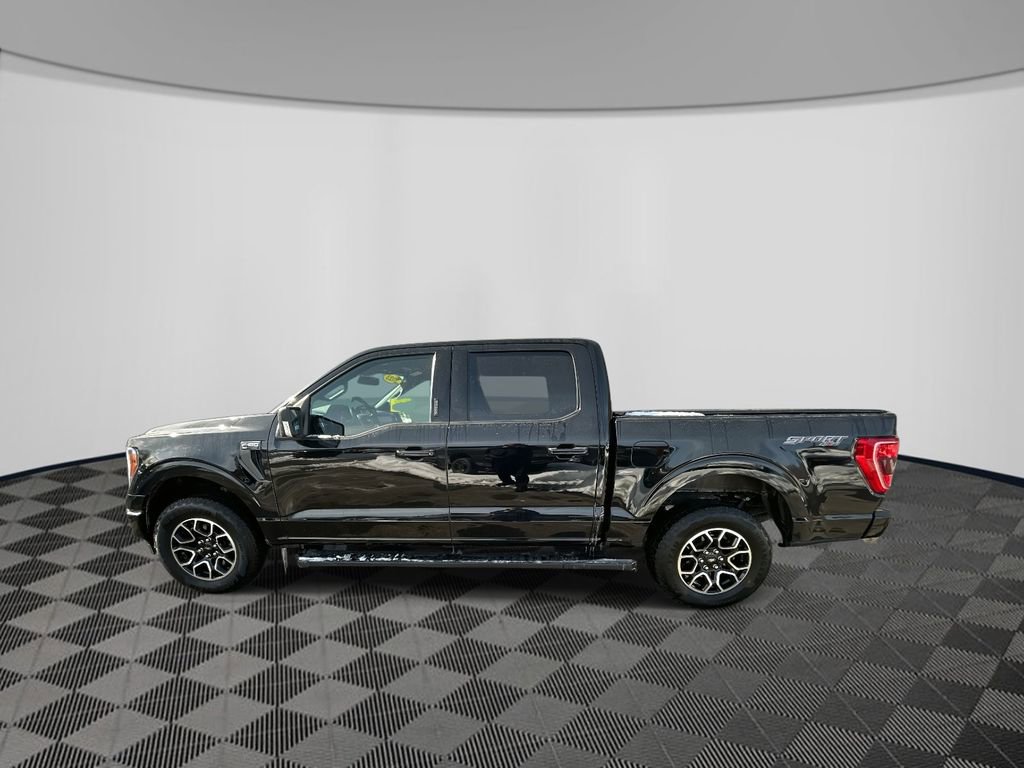 Used 2023 Ford F150 XLT w/ Equipment Group 302A High image 9