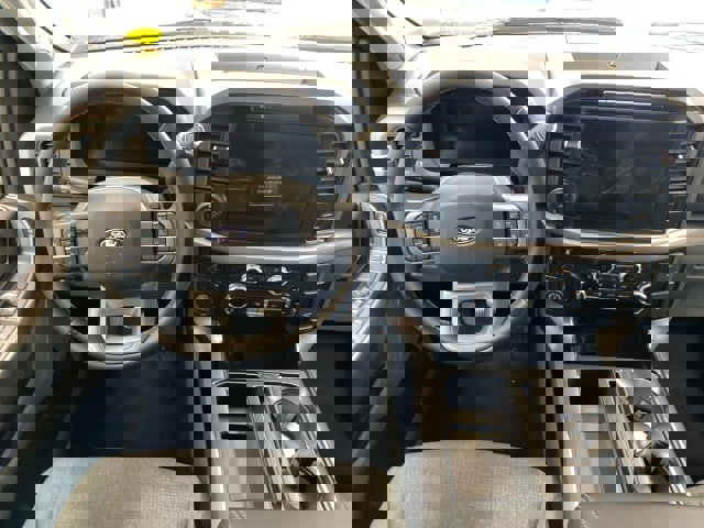 New 2025 Ford F150 XLT w/ Equipment Group 303A High image 11