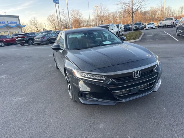 Used 2021 Honda Accord Sport Special Edition image 4
