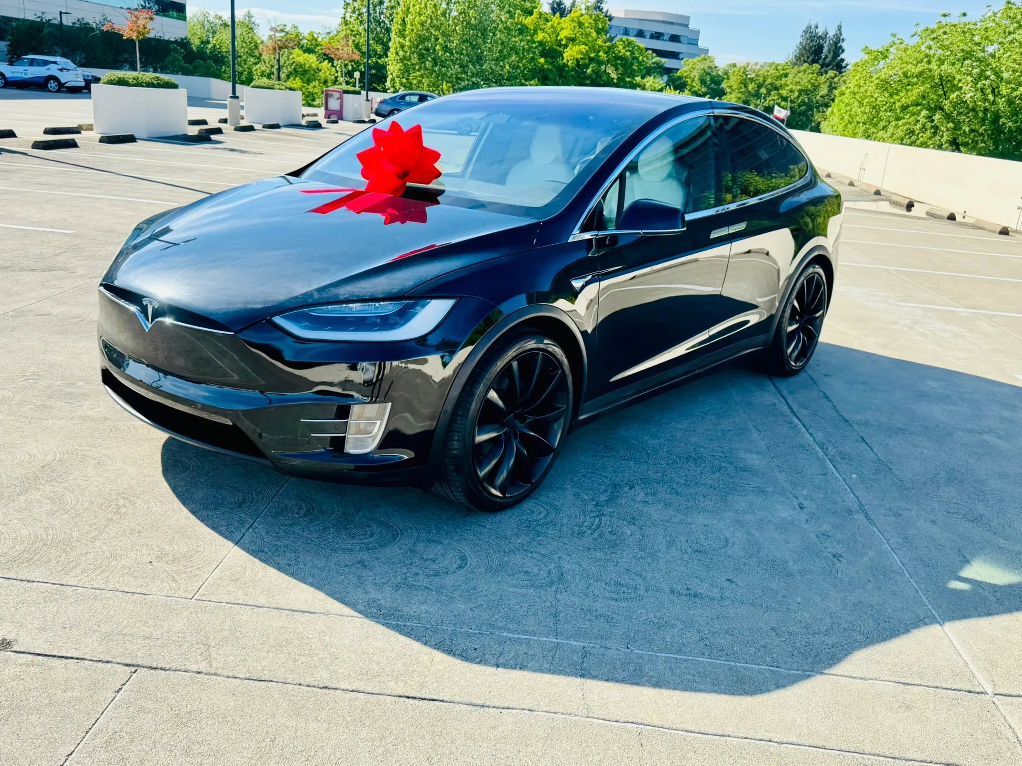 Used 2019 Tesla Model X 100D image 31