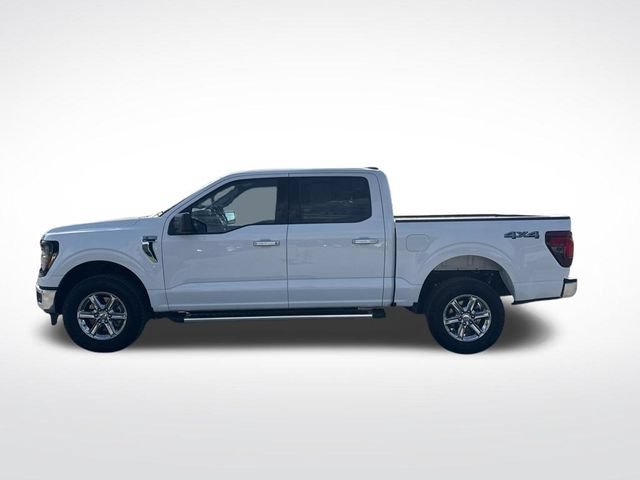 Used 2025 Ford F150 XLT w/ Equipment Group 301A Standard AWD/4WD image 6