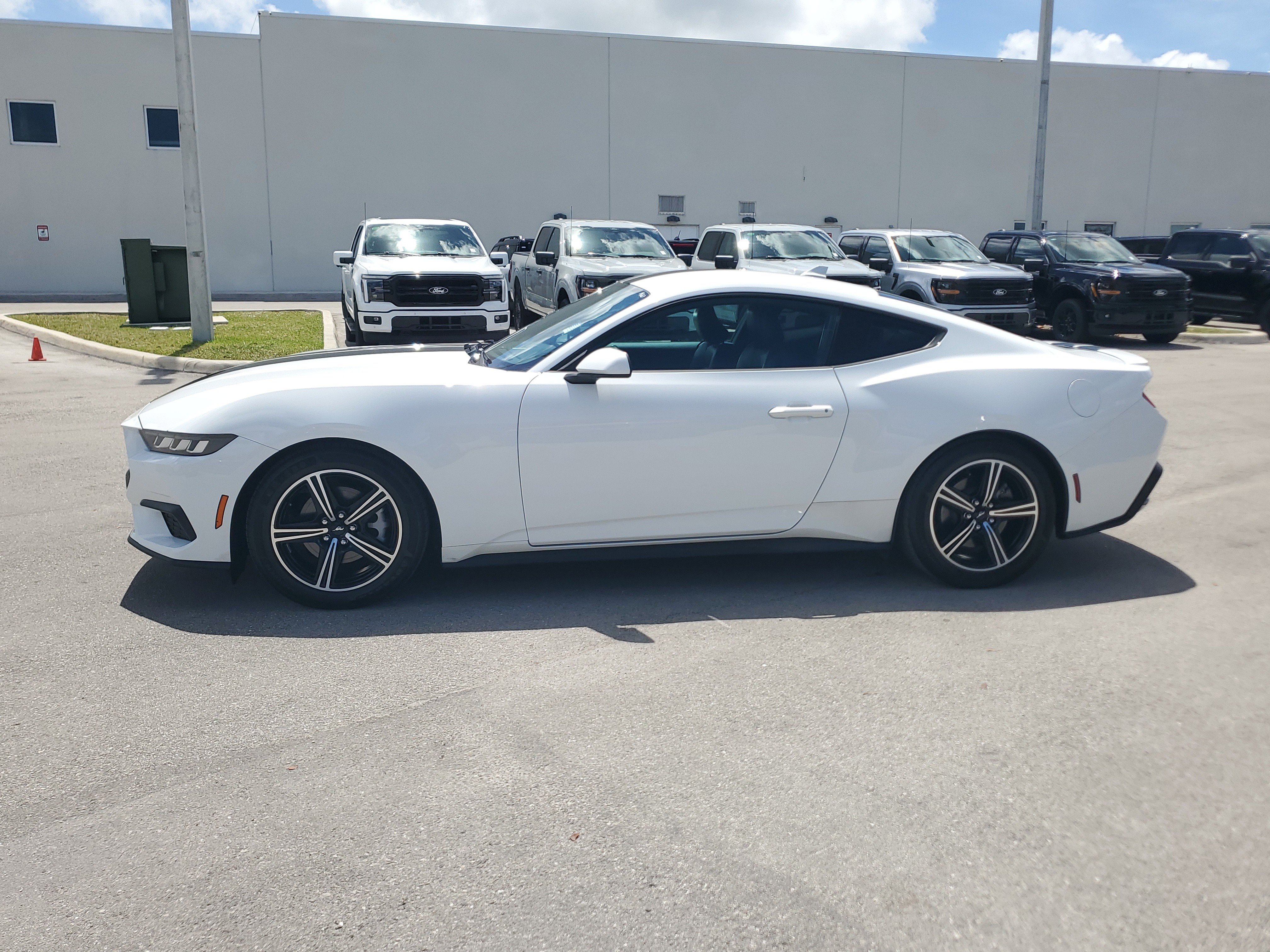 Used 2024 Ford Mustang Premium image 8