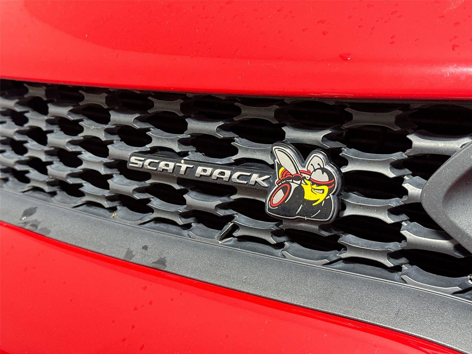Used 2019 Dodge Charger Scat Pack RWD image 10