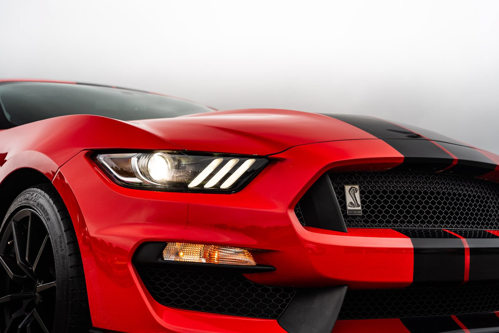 Used 2016 Ford Mustang Shelby GT350 w/ Technology Package RWD image 12