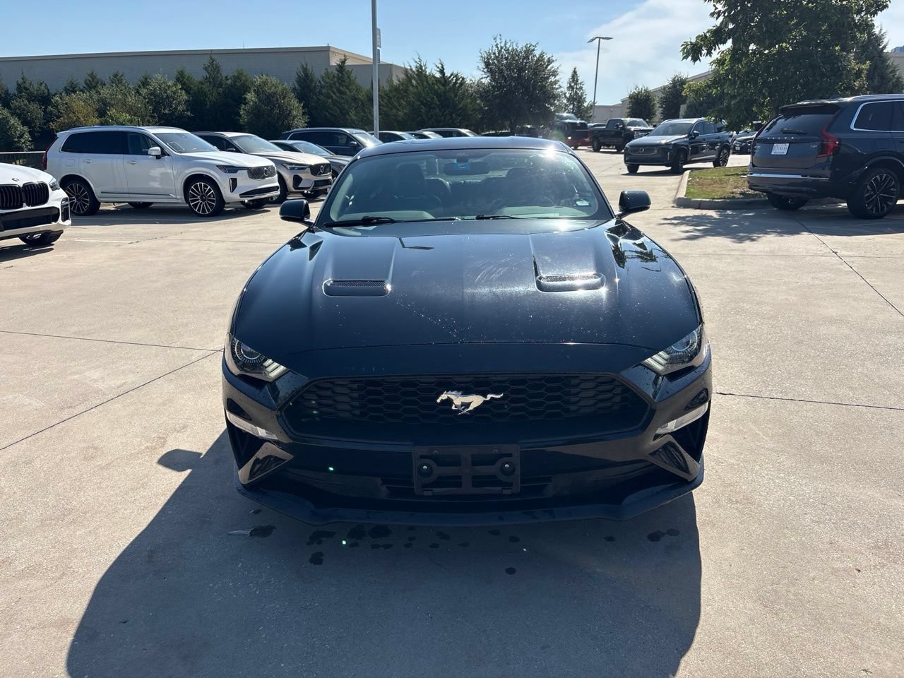 Used 2018 Ford Mustang Premium RWD image 2