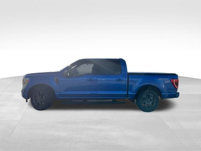 Used 2021 Ford F150 XLT w/ Equipment Group 302A High image 3