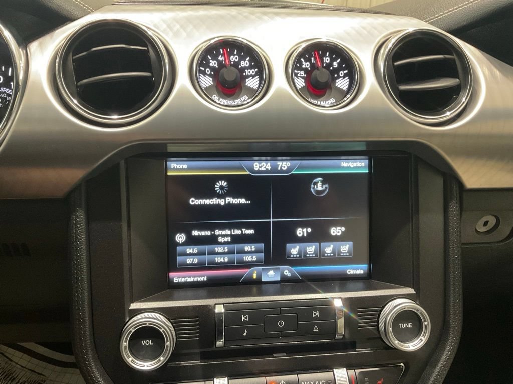Used 2015 Ford Mustang 50 Years RWD image 14