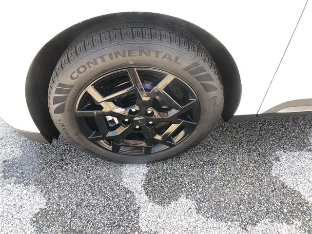 New 2026 Kia Carnival SX Prestige image 10