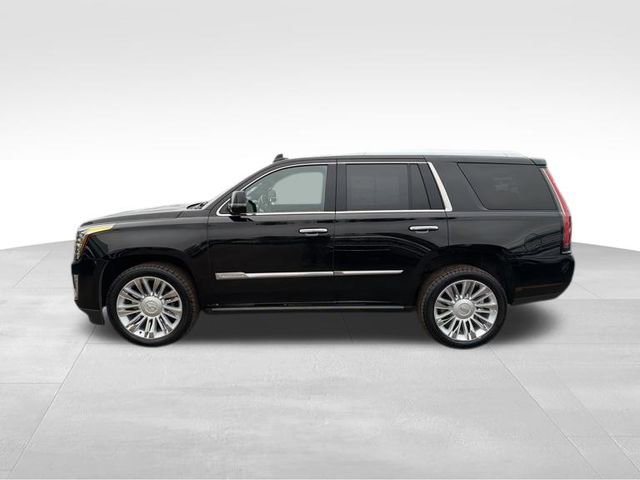 Used 2016 Cadillac Escalade Platinum image 9