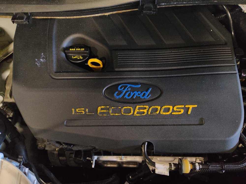 Used 2019 Ford Escape SE FWD image 30