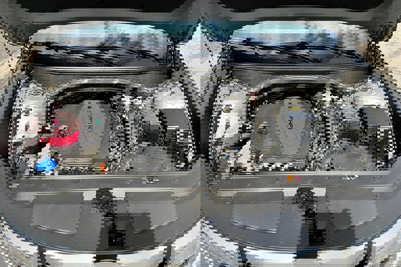 Used 2024 Hyundai Santa Cruz SEL w/ Activity Package image 22