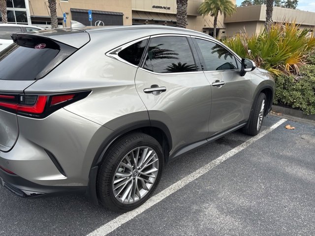 Certified 2025 Lexus NX 350h AWD w/ Premium Package image 5