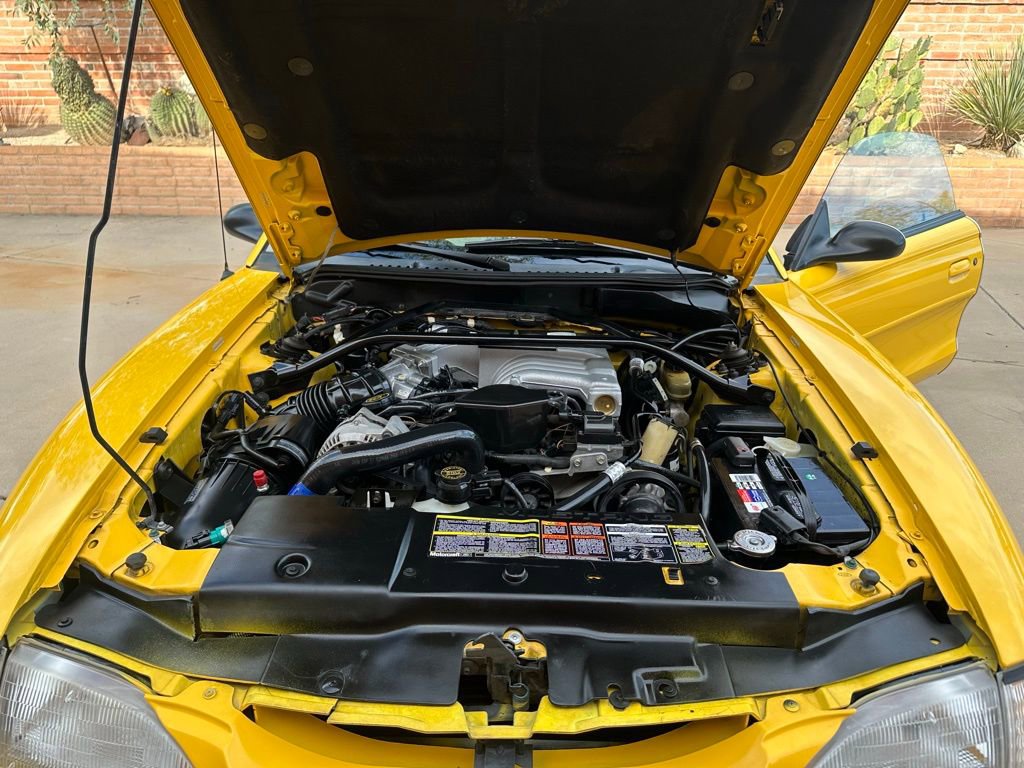 Used 1994 Ford Mustang GT RWD image 3