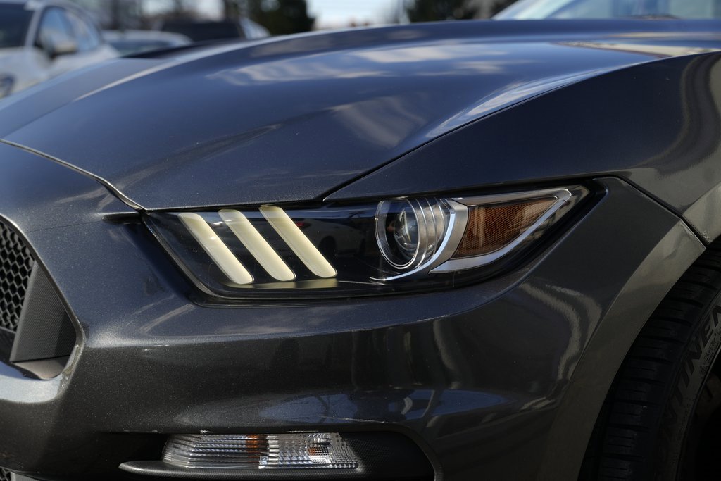 Used 2017 Ford Mustang Shelby GT350 image 32