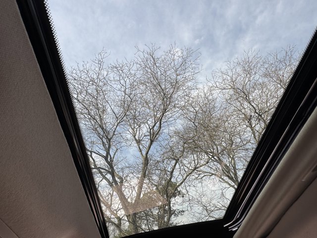 New 2026 Nissan Sentra SV w/ SV Convenience Package image 20